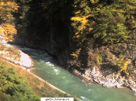 Umpic prin vacanta: - Aici eram la Busteni - Forum Gaf