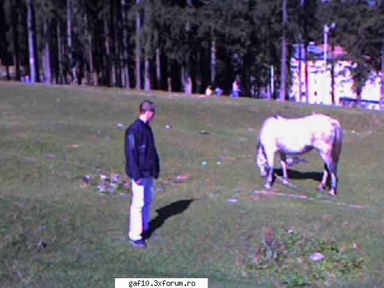 Umpic prin vacanta: - Cu calutzul la munte - Forum Gaf