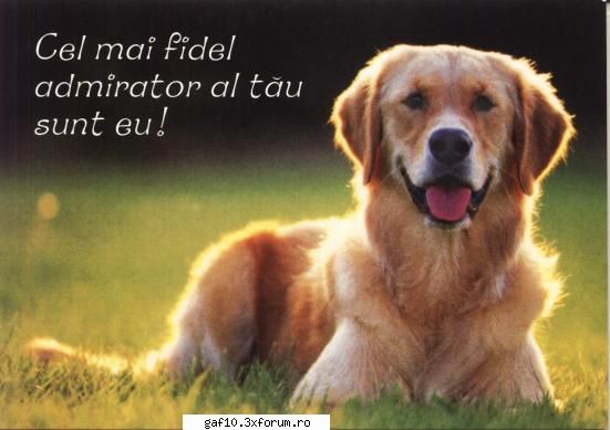 apoi spune-i k este viatza ta si nimeni nu mai e k ea: caut o fata !!!!!!