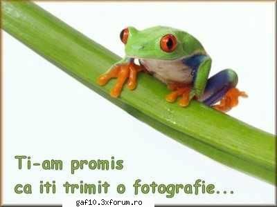 caut o fata dragutzaaaa !!!!!! - Apoi incearca sa fii, din cand in cand, comic - Forum Gaf