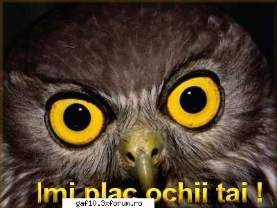 caut o fata dragutzaaaa !!!!!! - Spune-i ce iti place la ea - Forum Gaf