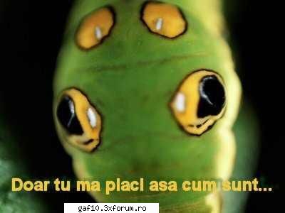 caut o fata dragutzaaaa !!!!!! - Apoi invatz-o sa te placa asa cum esti tu si sa - Forum Gaf